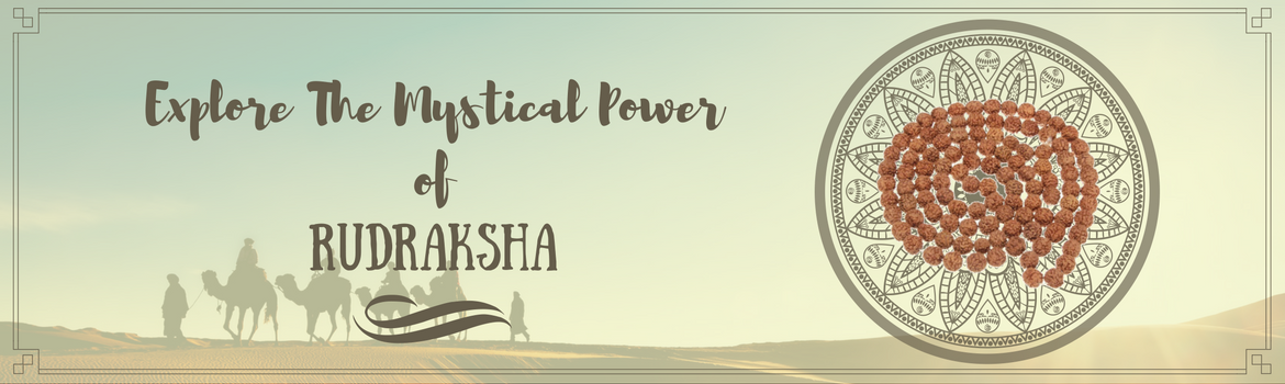 The Power of Rudraksha